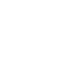 light logo